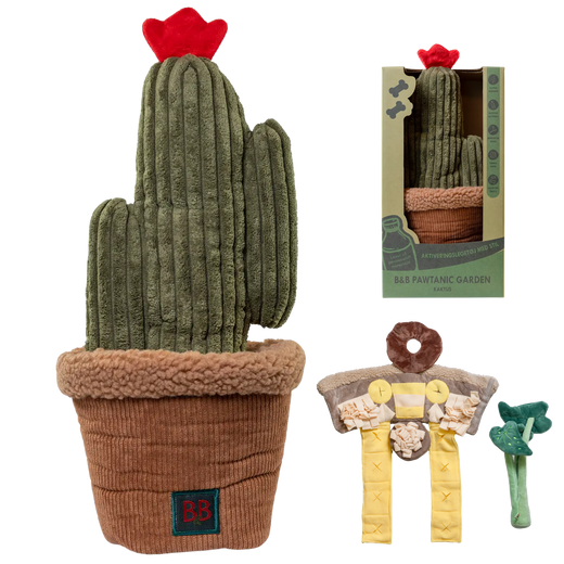 Pawtanic Cactus de flair