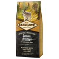 Carnilove saumon Dinde Maxi 12KG