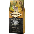 CARNILOVE Adult Large Saumon & Dinde 12kg