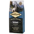 Carnilove saumon adulte 12KG