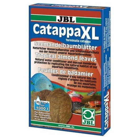 CATAPPA XL feuille de badamier