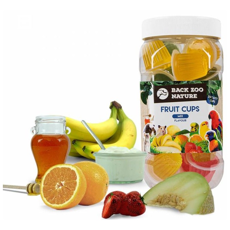 GRIZO Coupe de Fruit Mix 24 Pièces Saveurs Assorties Oiseaux