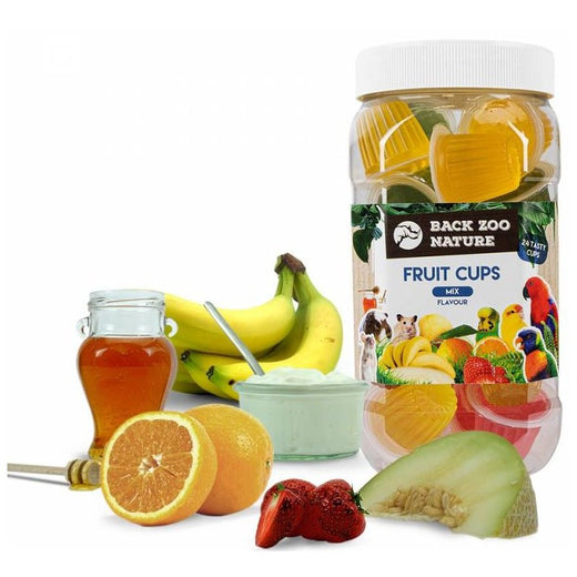 GRIZO Coupe de Fruit Mix 24 Pièces Saveurs Assorties Oiseaux