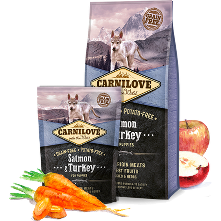CARNILOVE Junior Saumon & Dinde