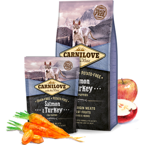 CARNILOVE Junior Saumon & Dinde