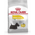 ROYAL CANIN Mini Dermacomfort 3kg