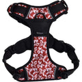 BOBBY Harnais Rando Monoi pour Chat Taille XS Bordeaux
