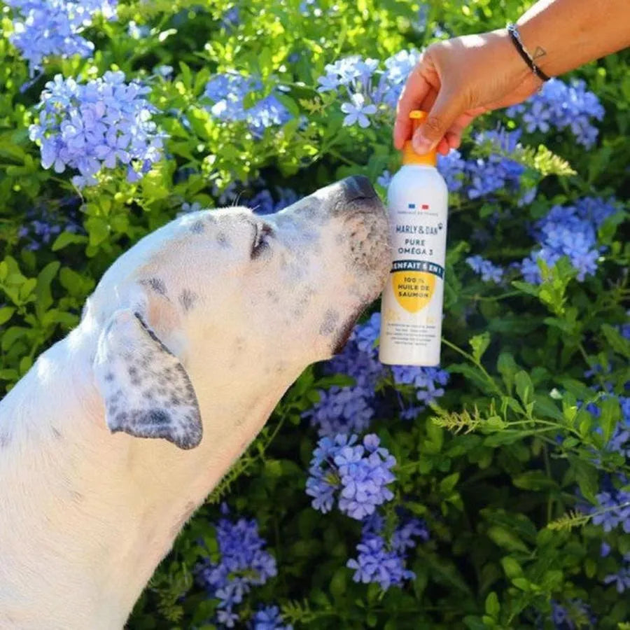 MARLY ET DAN Huile de saumon Pure Omega 3 100ml