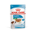 ROYAL CANIN Size Health Nutrition Mini Puppy en sauce 12 x 85 g