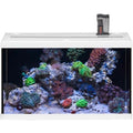 Aquastar 63 Marin Blanc 2X12W 63L