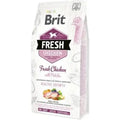 Brit Fresh Poulet avec pommes de terre Puppy Healthy Growth