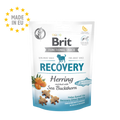 Brit recovery harreng