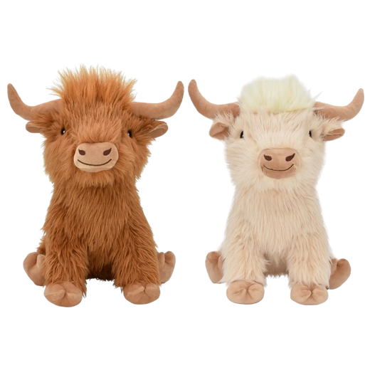 Summer Vache highland