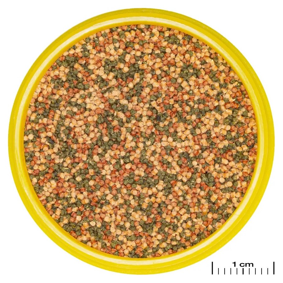 JBL ProNovo Bel Grano S Granulés pour Poissons d'Aquarium 250ml