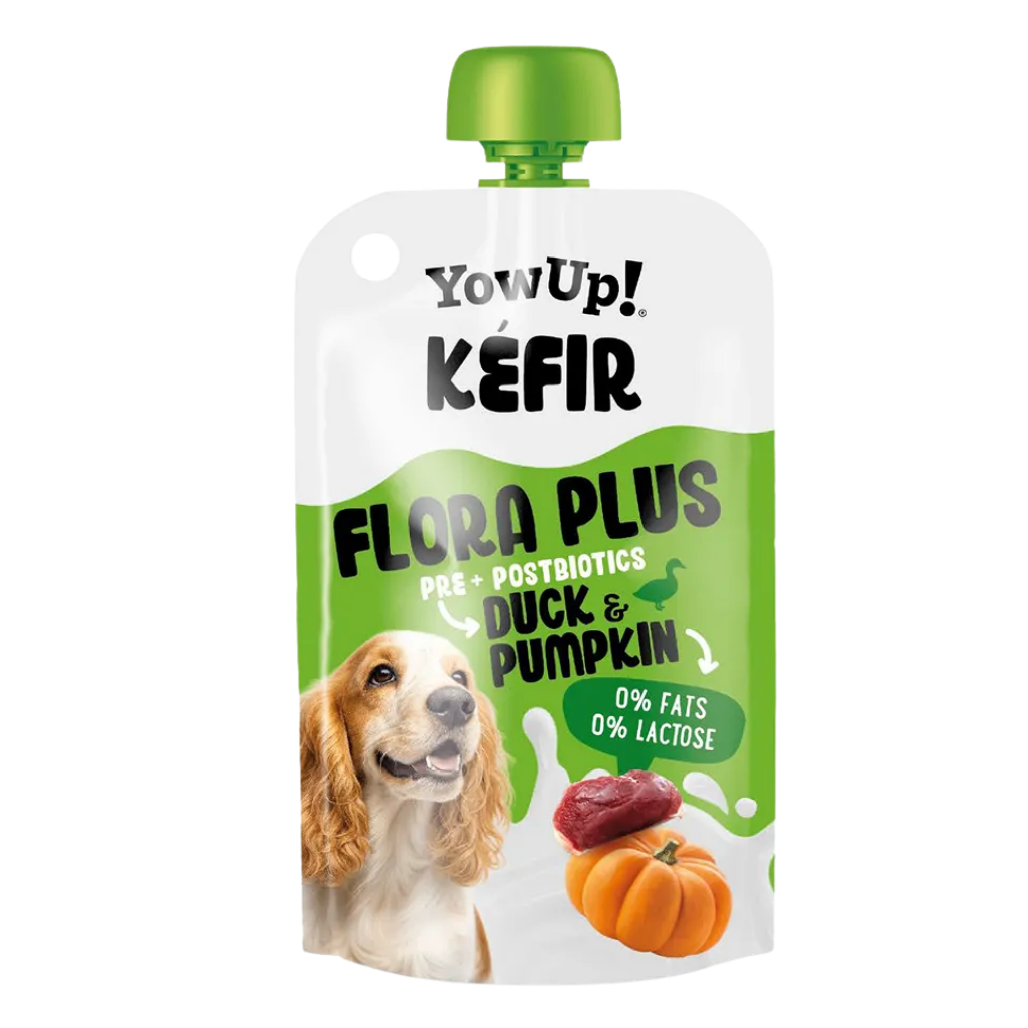 Kefir canard et potiron Yowup