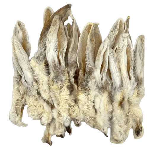Oreille de lapin poilue
