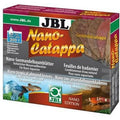 Nano Catappa feuille de badamier