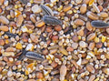 Oiseaux du Ciel Mélange de Graines 5kg