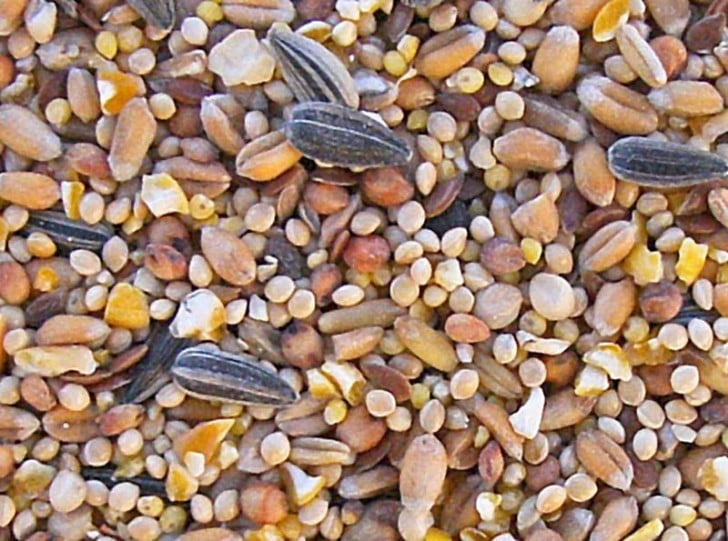 Oiseaux du Ciel Mélange de Graines 5kg