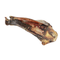 Omoplate de cerf L/XL