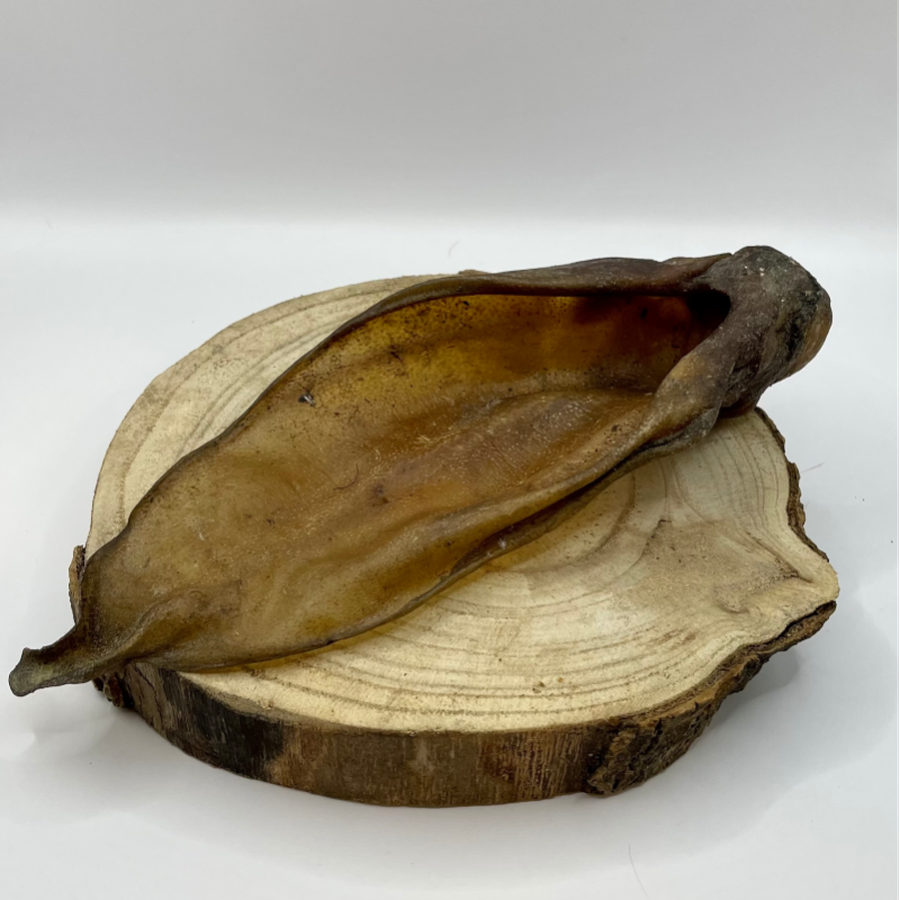 Oreille de Bœuf Séchée – Naturelle