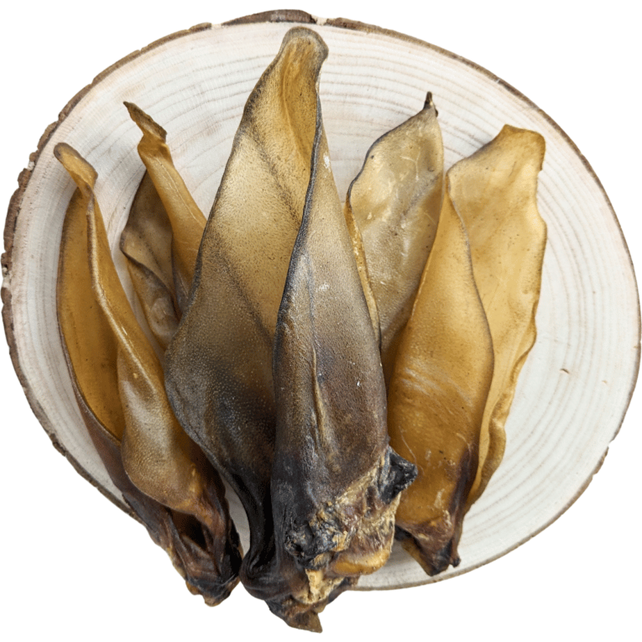 Oreille de Bœuf Séchée – Naturelle
