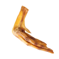Patte de canard