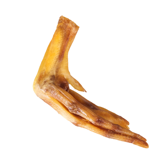 Patte de canard