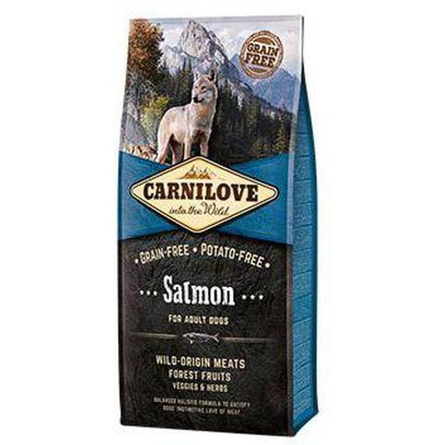CARNILOVE Adult Saumon