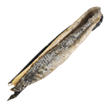 Peau de saumon 30CM