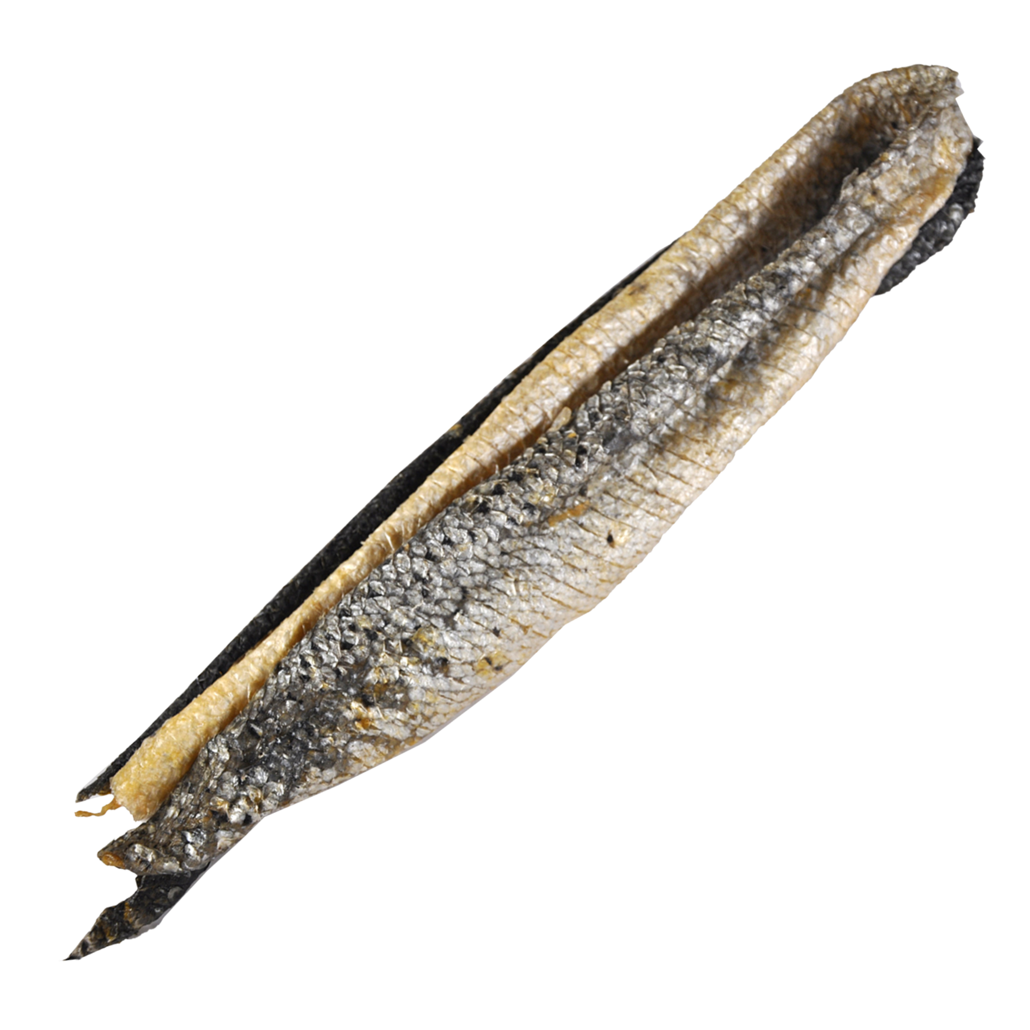 Peau de saumon 30CM