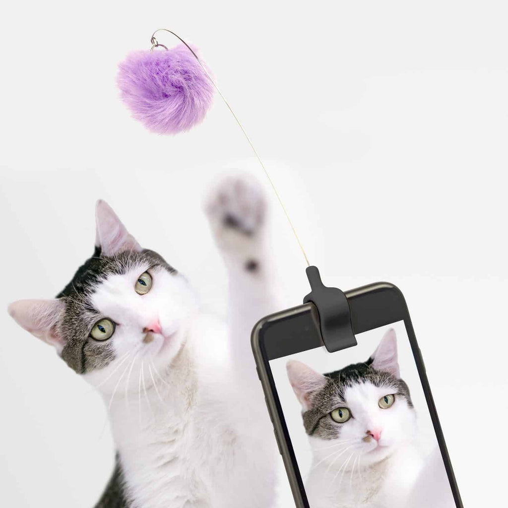 KIKKERLAND KITTY PHONE CLIP Clip Téléphone Jouet Chat pour Photos Parfaites