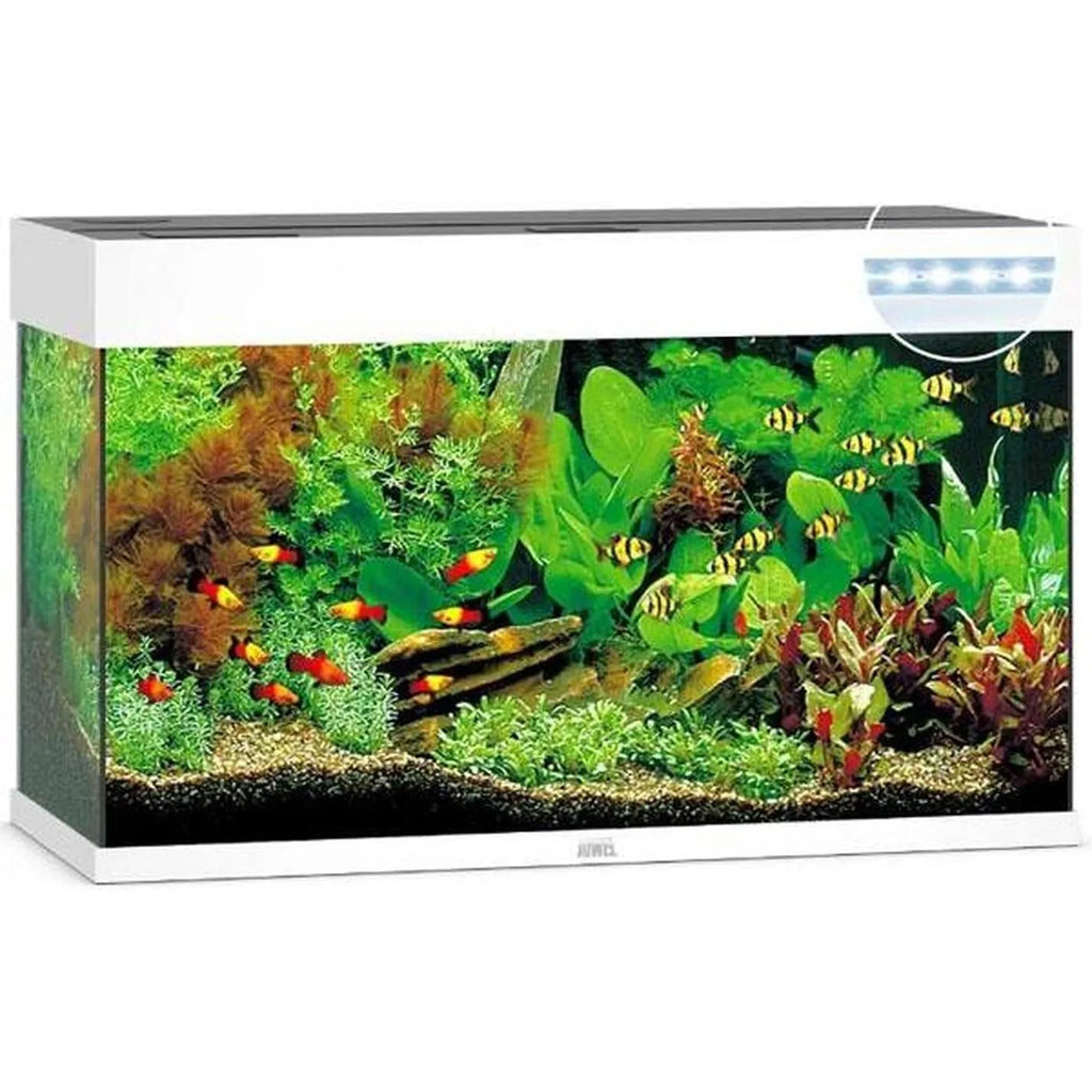 Aquarium RIO 125 LED (2x led 590mm) JUWEL