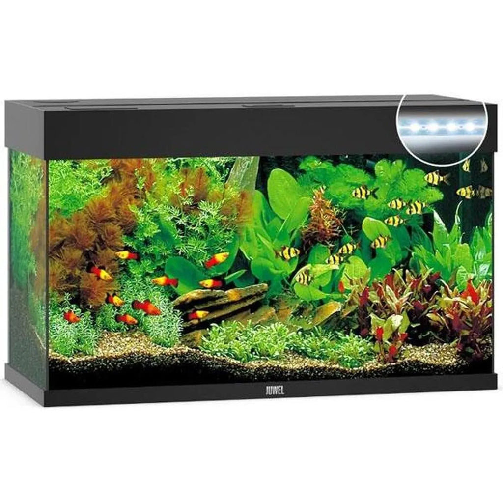 Aquarium RIO 125 LED (2x led 590mm) JUWEL