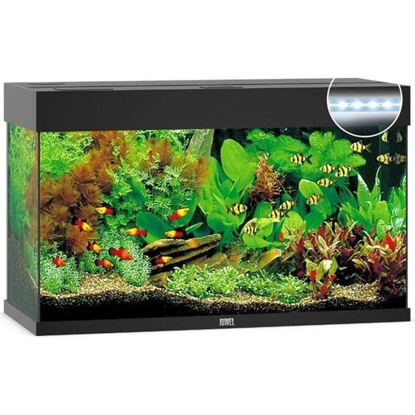 Aquarium RIO 125 LED (2x led 590mm) JUWEL