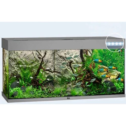 Aquarium RIO 180 LED (2x led 895mm) JUWEL