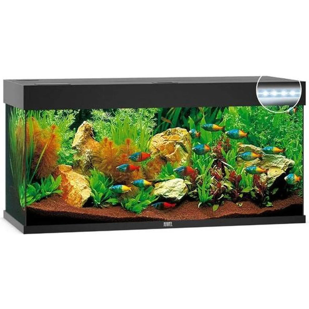 Aquarium RIO 180 LED (2x led 895mm) JUWEL