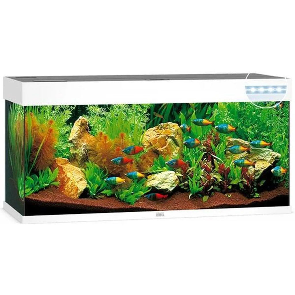 Aquarium RIO 240 LED (2x led 1047mm) CHENE CLAIR JUWEL