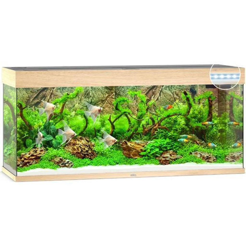 Aquarium RIO 240 LED (2x led 1047mm) CHENE CLAIR JUWEL