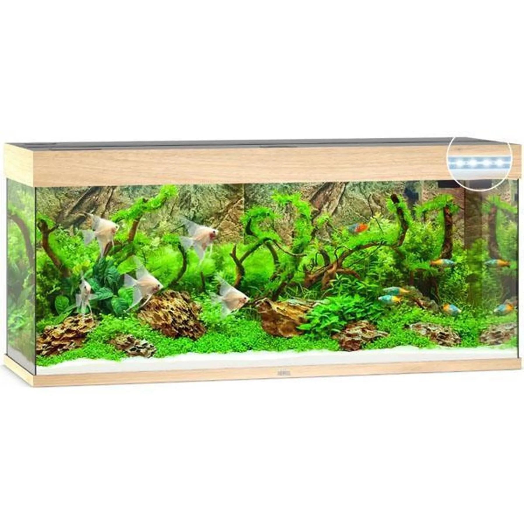 Aquarium RIO 240 LED (2x led 1047mm) CHENE CLAIR JUWEL