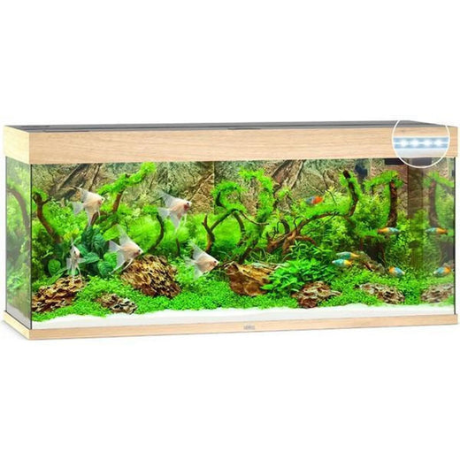 Aquarium RIO 240 LED (2x led 1047mm) CHENE CLAIR JUWEL