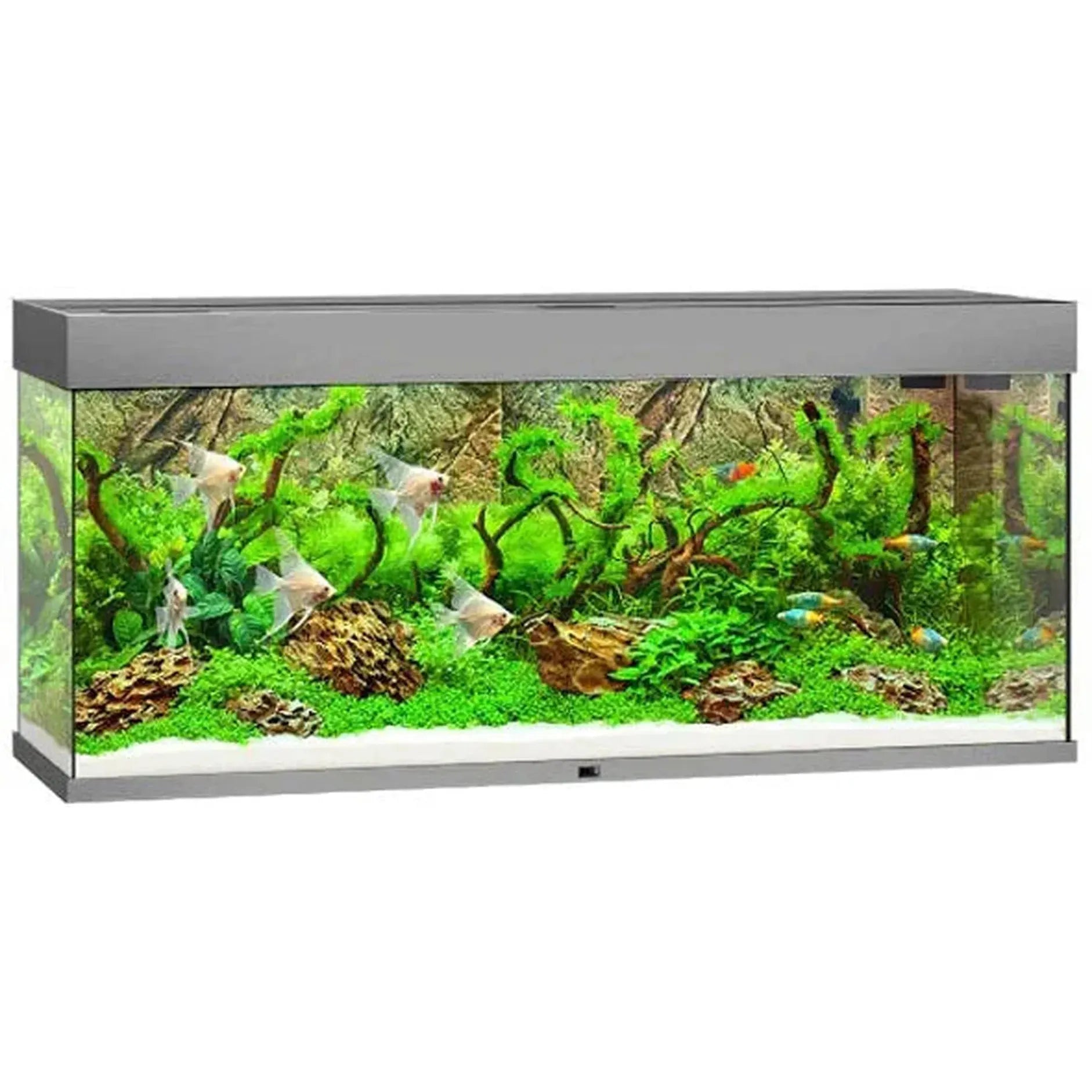 Aquarium RIO 240 LED (2x led 1047mm) CHENE CLAIR JUWEL