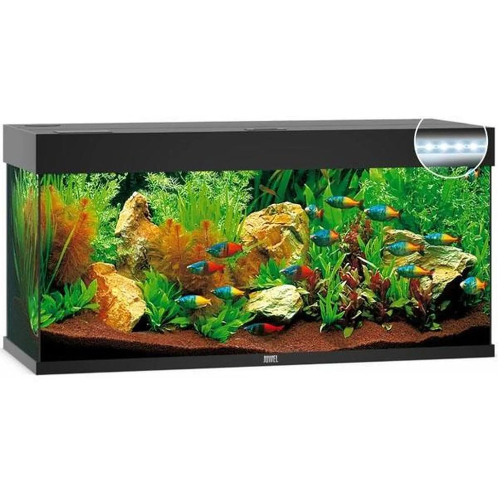 Aquarium RIO 240 LED (2x led 1047mm) CHENE CLAIR JUWEL