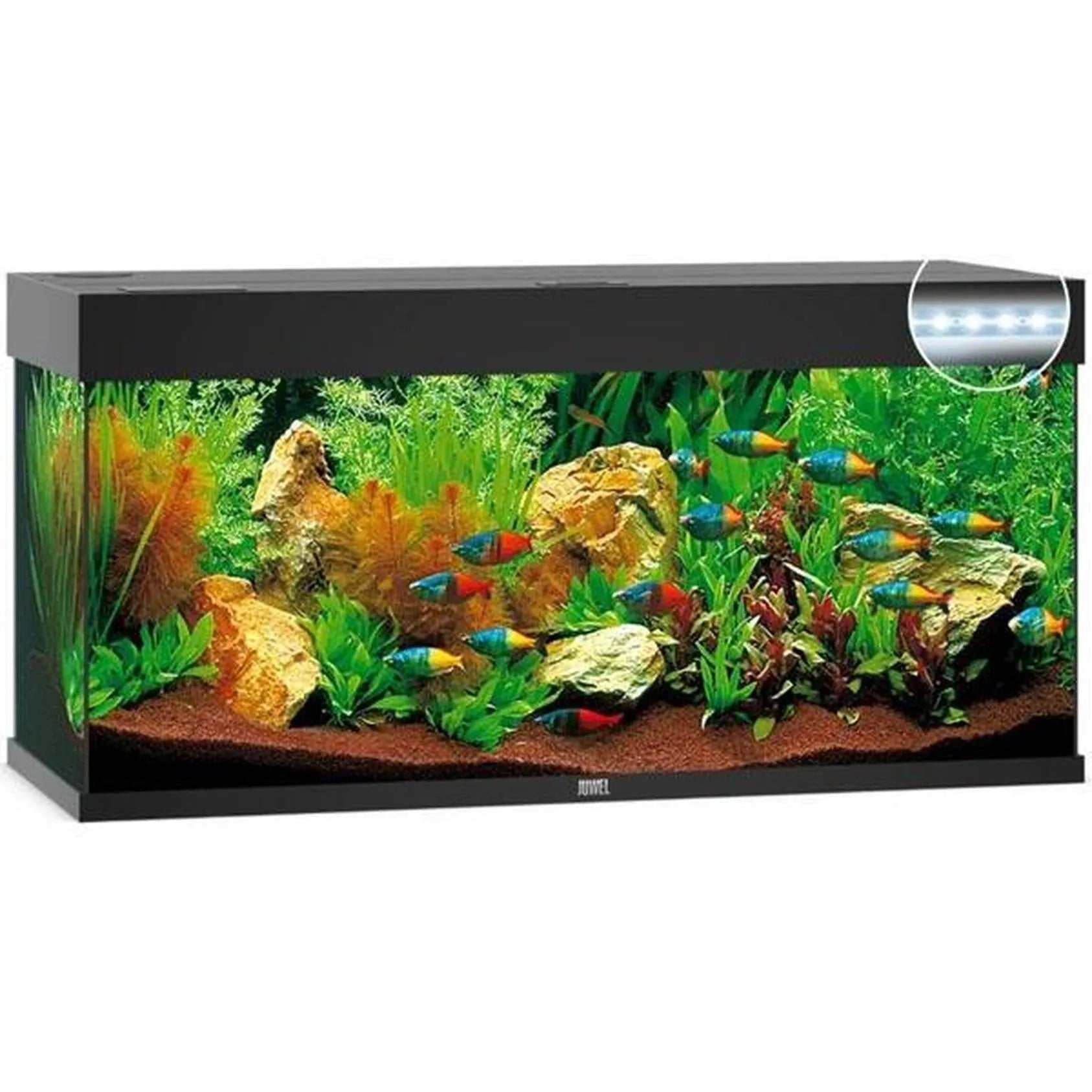 Aquarium RIO 240 LED (2x led 1047mm) CHENE CLAIR JUWEL