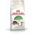 ROYAL CANIN Outdoor Croquettes pour Chat Adulte Actif