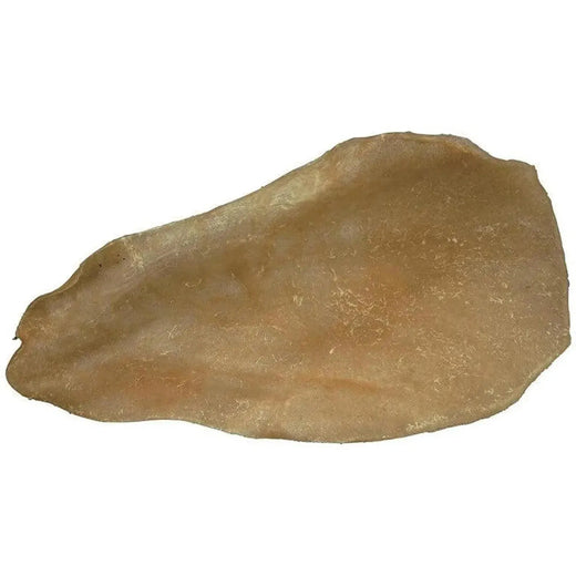 Oreille de Bœuf Séchée – Naturelle (1 pc)