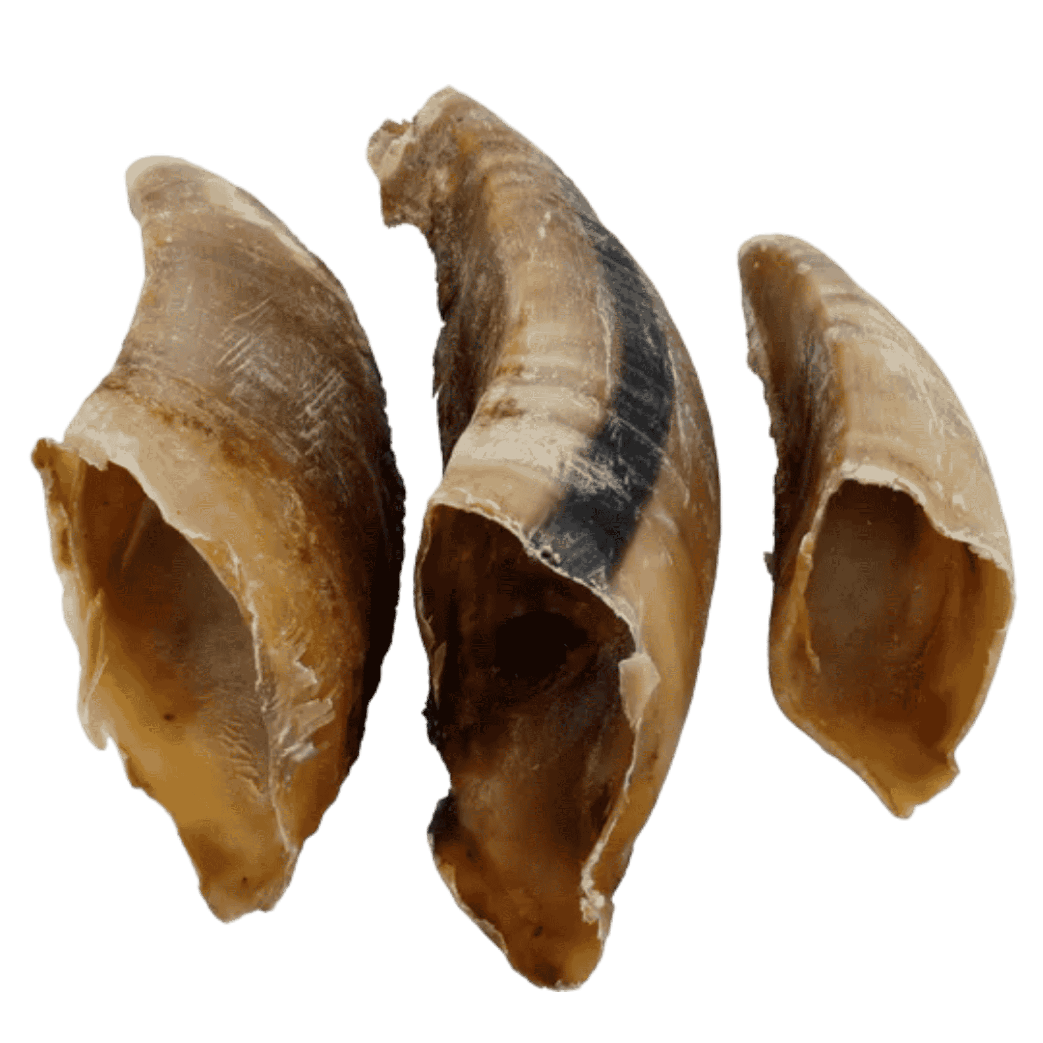 Sabot de vache