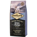 Carnilove chiot saumon dinde 12KG