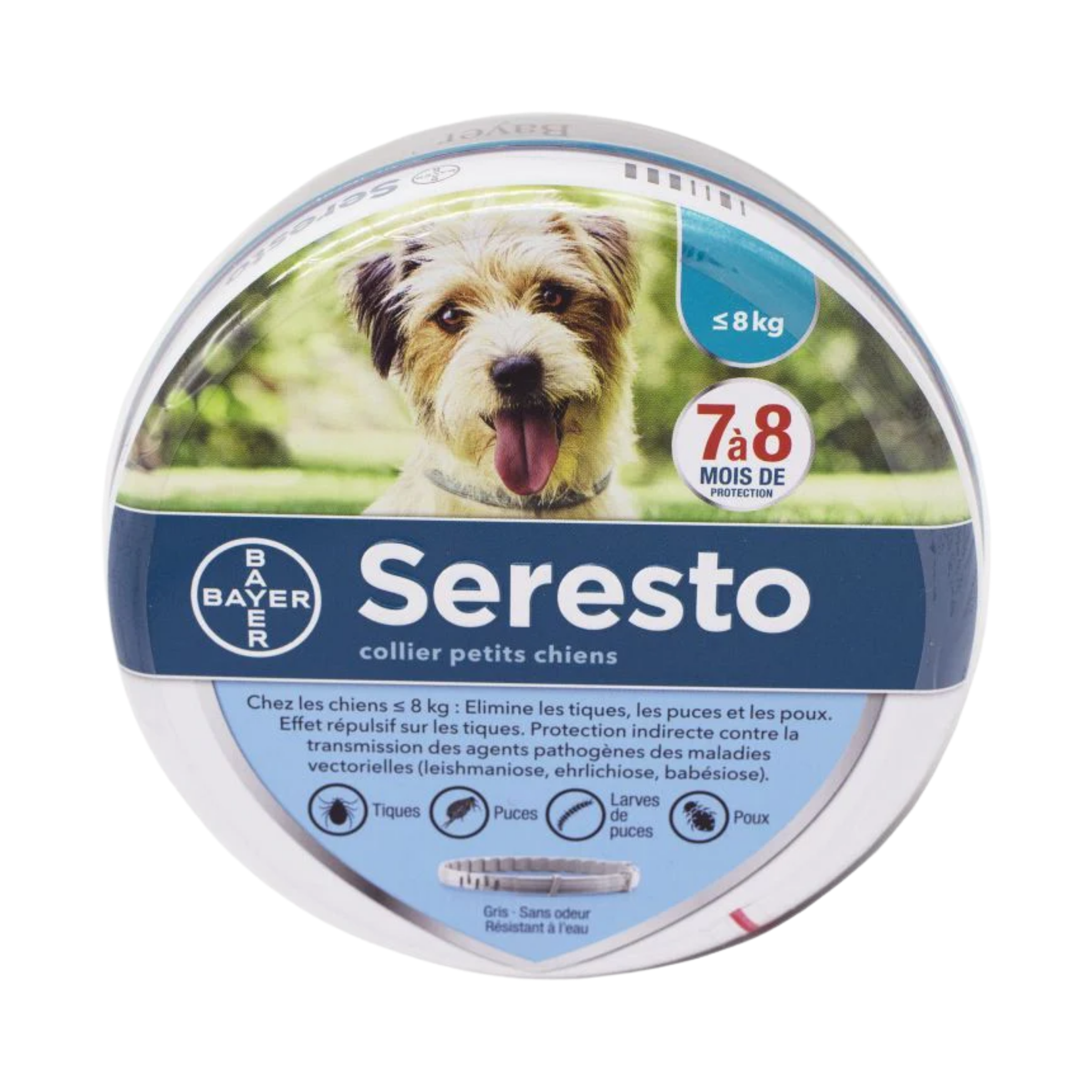 SERESTO Collier Antiparasitaire Petit Chien jusqu'à 8 kg 38 cm Gris