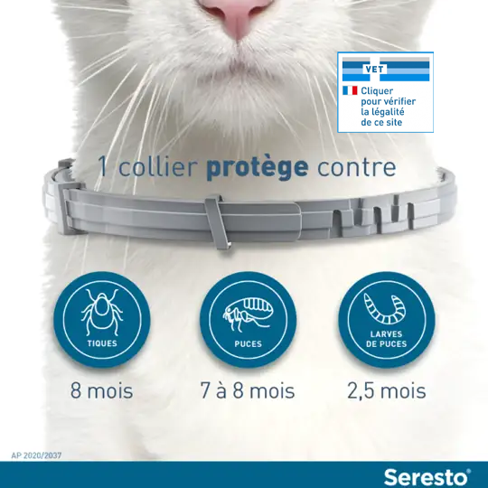 ELANCO Seresto Collier Antiparasitaire Chat Gris 1 collier